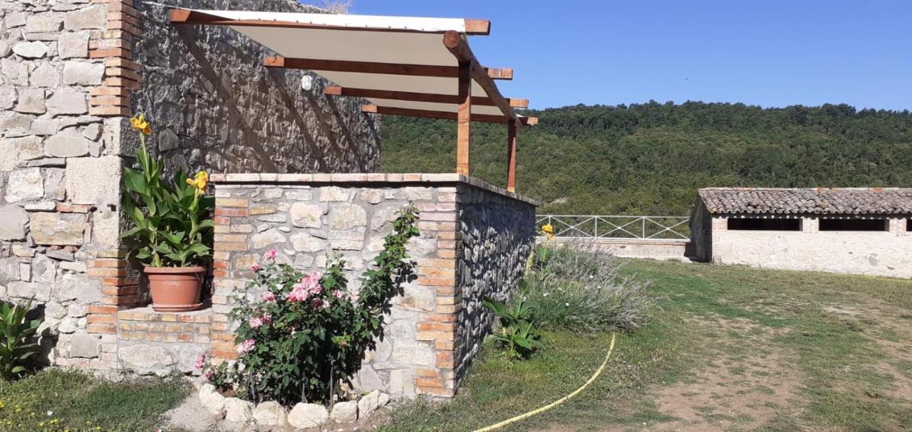 Casale Al Lago Con Piscina E Sauna Corbara  Exteriör bild