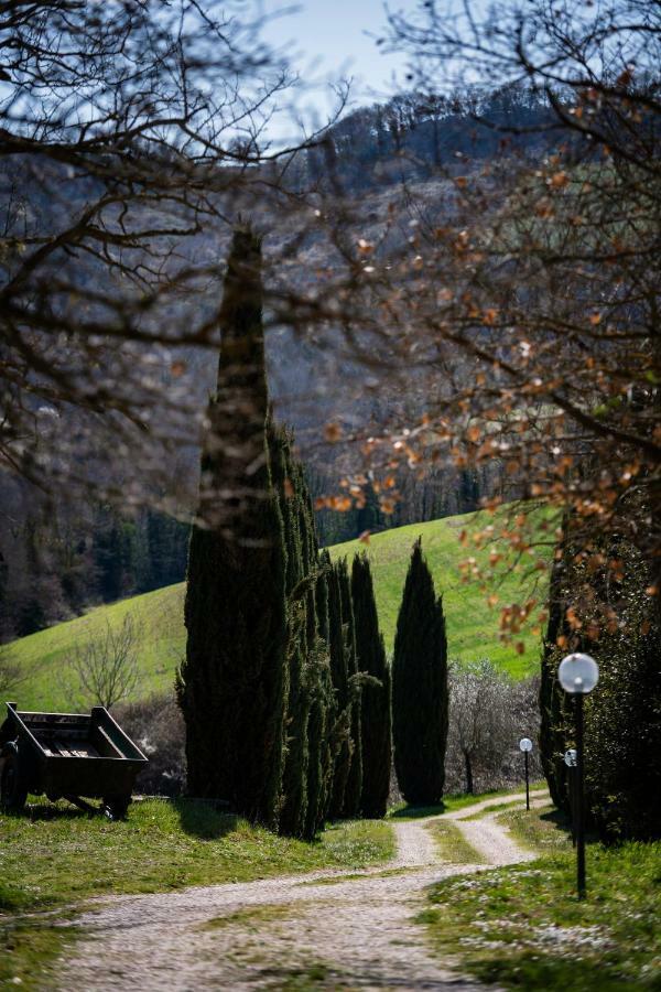 Casale Al Lago Con Piscina E Sauna Corbara  Exteriör bild