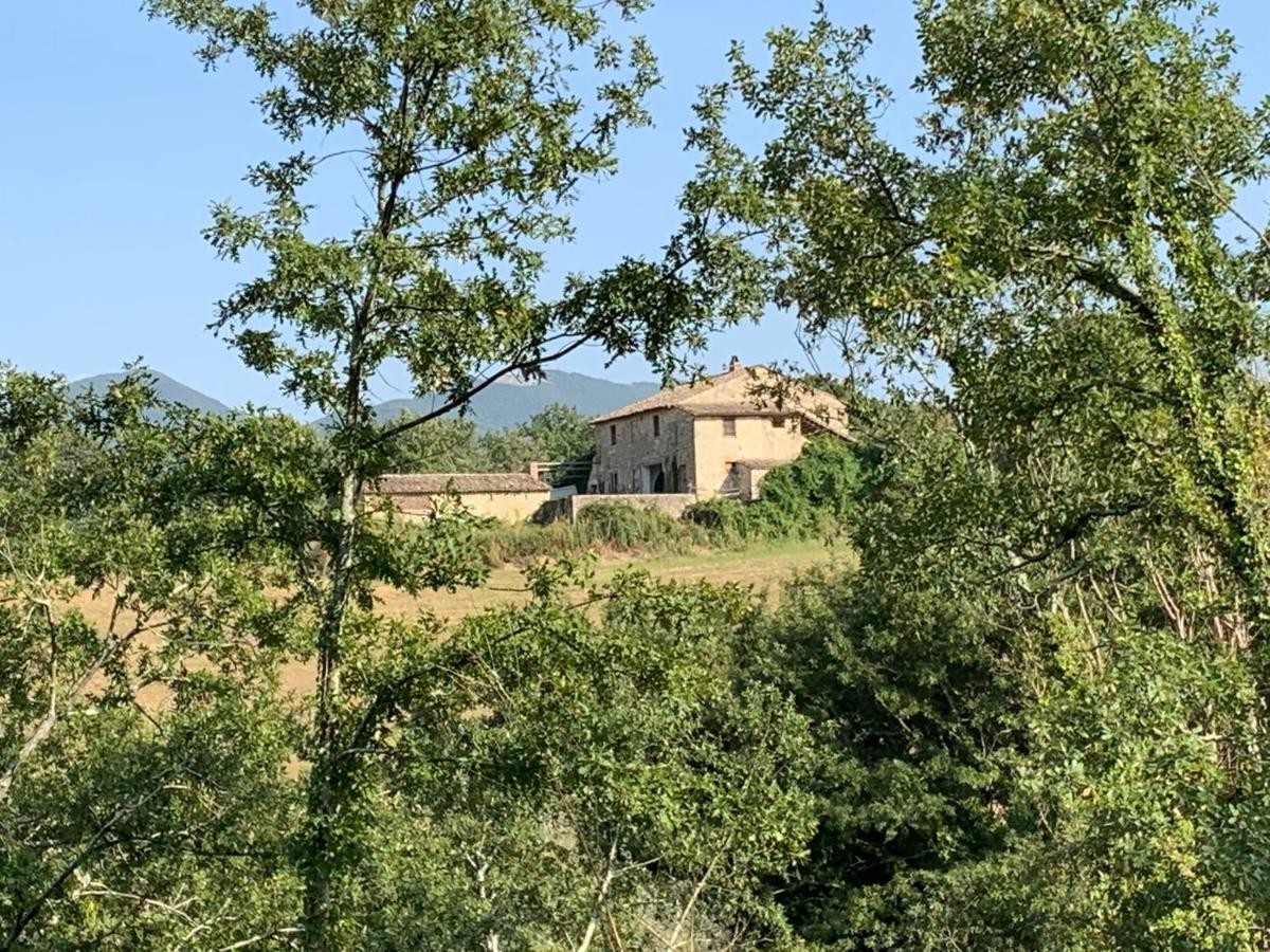 Casale Al Lago Con Piscina E Sauna Corbara  Exteriör bild