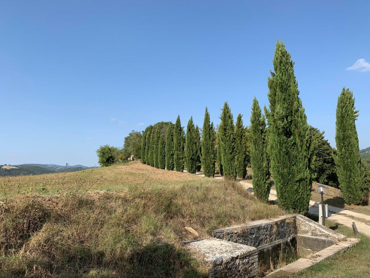 Casale Al Lago Con Piscina E Sauna Corbara  Exteriör bild