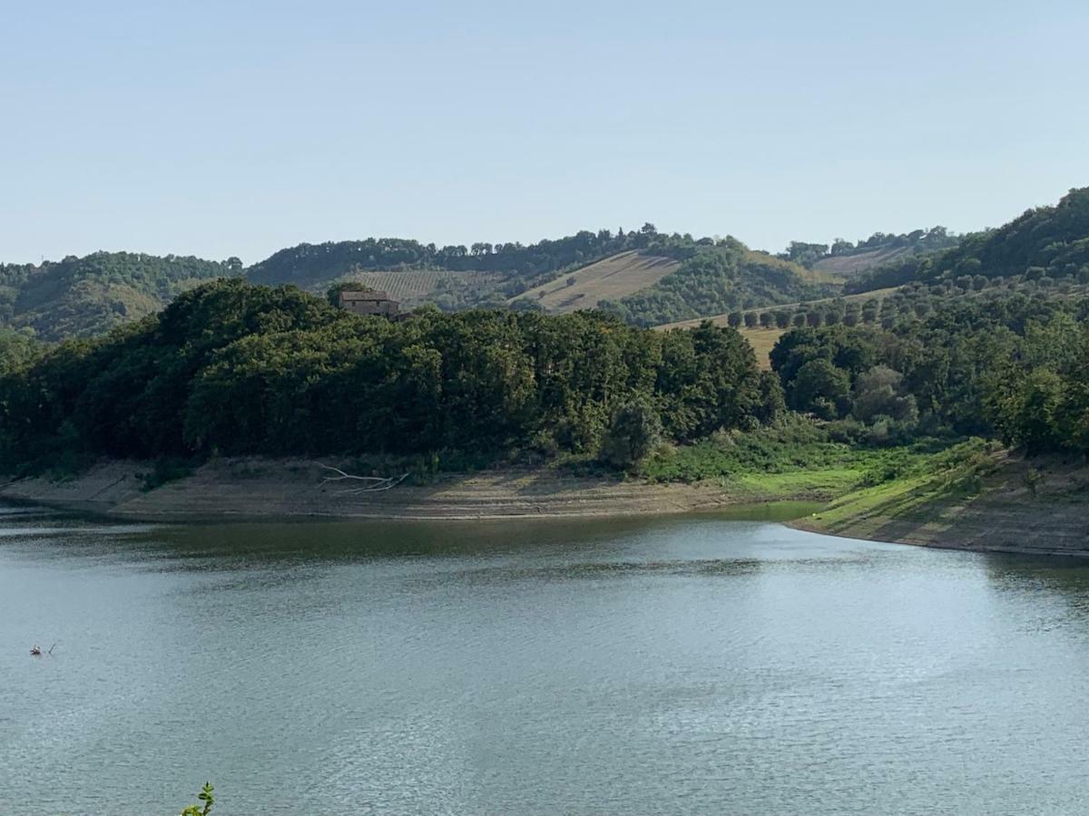 Casale Al Lago Con Piscina E Sauna Corbara  Exteriör bild