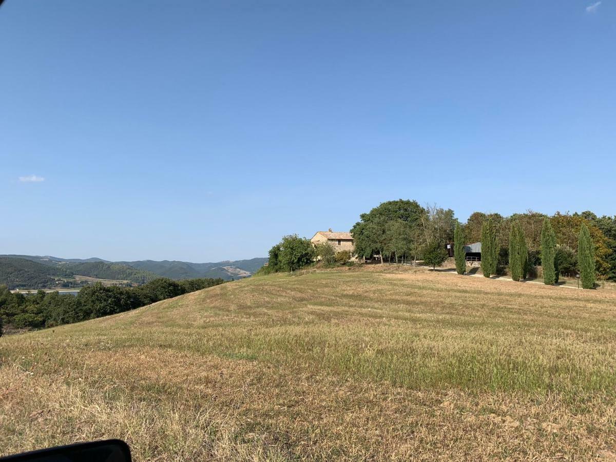 Casale Al Lago Con Piscina E Sauna Corbara  Exteriör bild