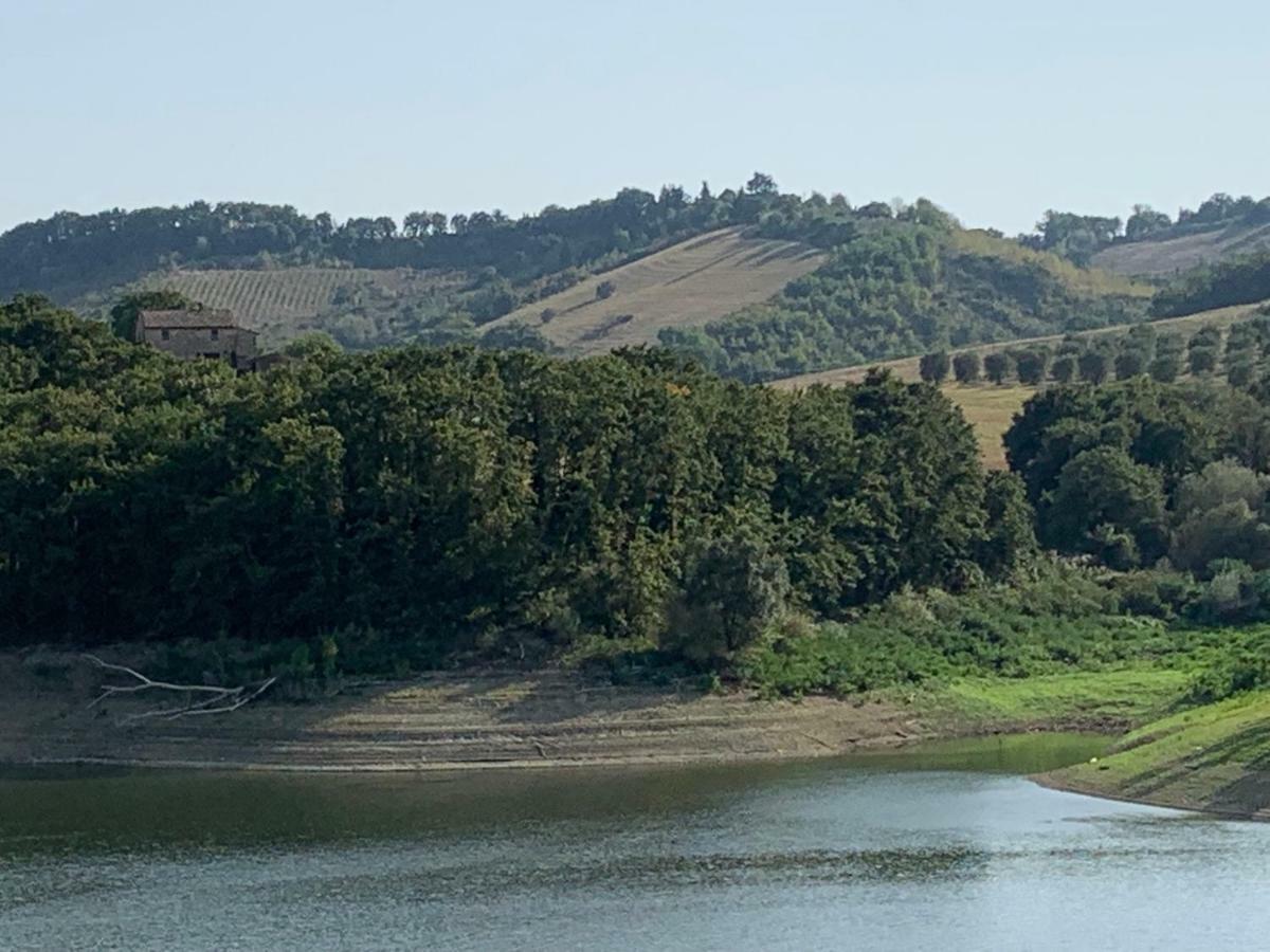 Casale Al Lago Con Piscina E Sauna Corbara  Exteriör bild